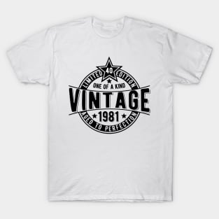 40th vintage birthday gift ice for husband T-Shirt